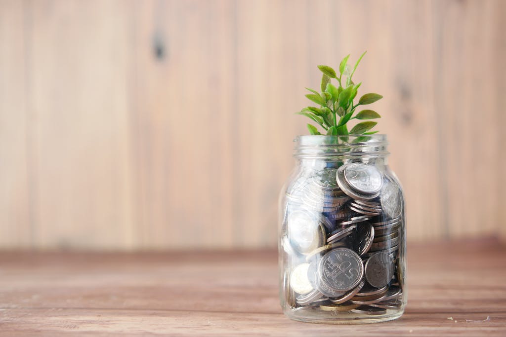 The Cost of Preventing Authoritarianism: How Much is Actually Being Invested, and How? 1 A jar filled with coins and a plant symbolizes growth in savings and investment.