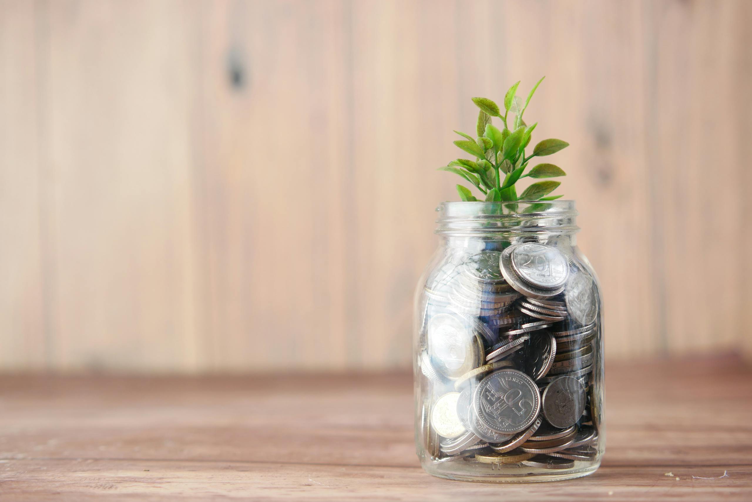A jar filled with coins and a plant symbolizes growth in savings and investment.
